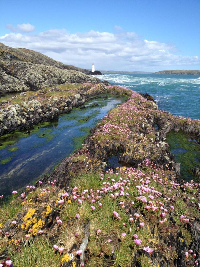 Hotel Castaway East - Long Island Schull Zewnętrze zdjęcie