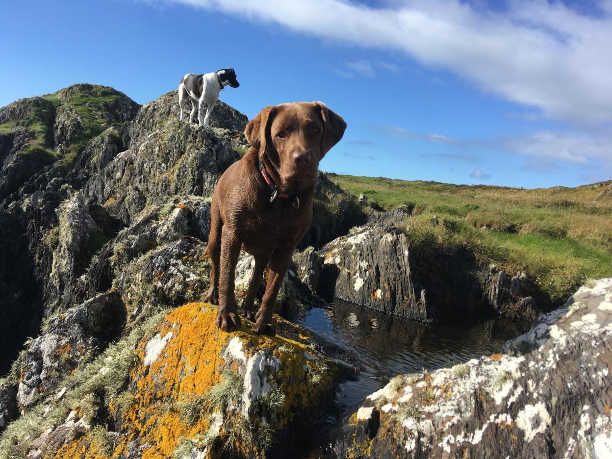 Hotel Castaway East - Long Island Schull Zewnętrze zdjęcie